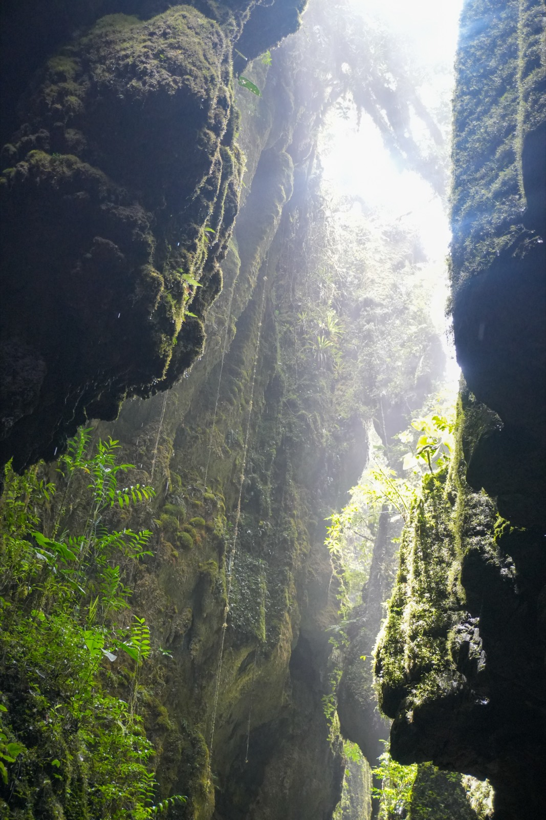 Postal del viaje