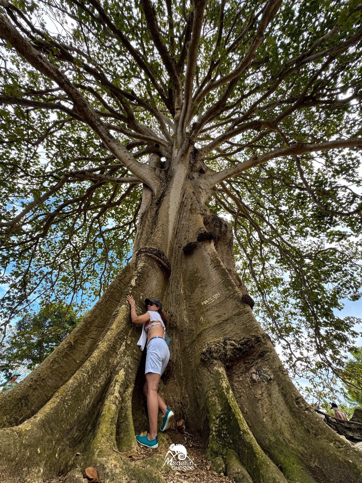 Postal del viaje