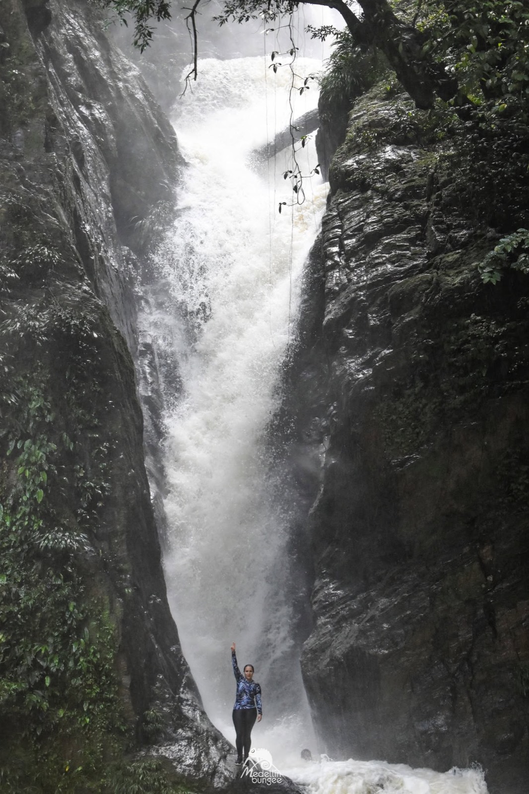 Postal del viaje