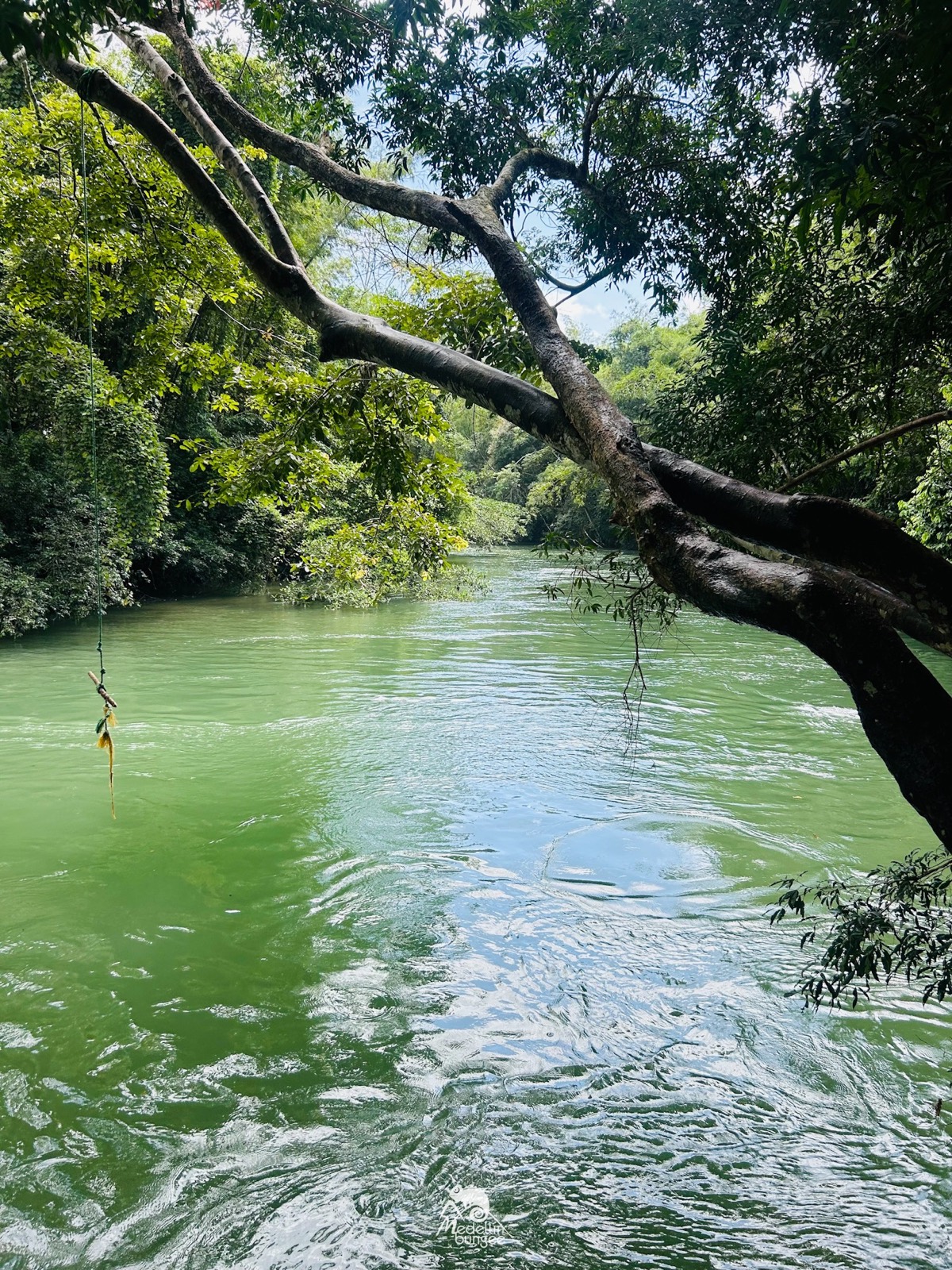 Postal del viaje