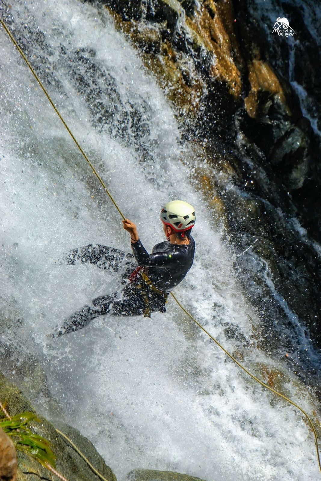 Postal del viaje